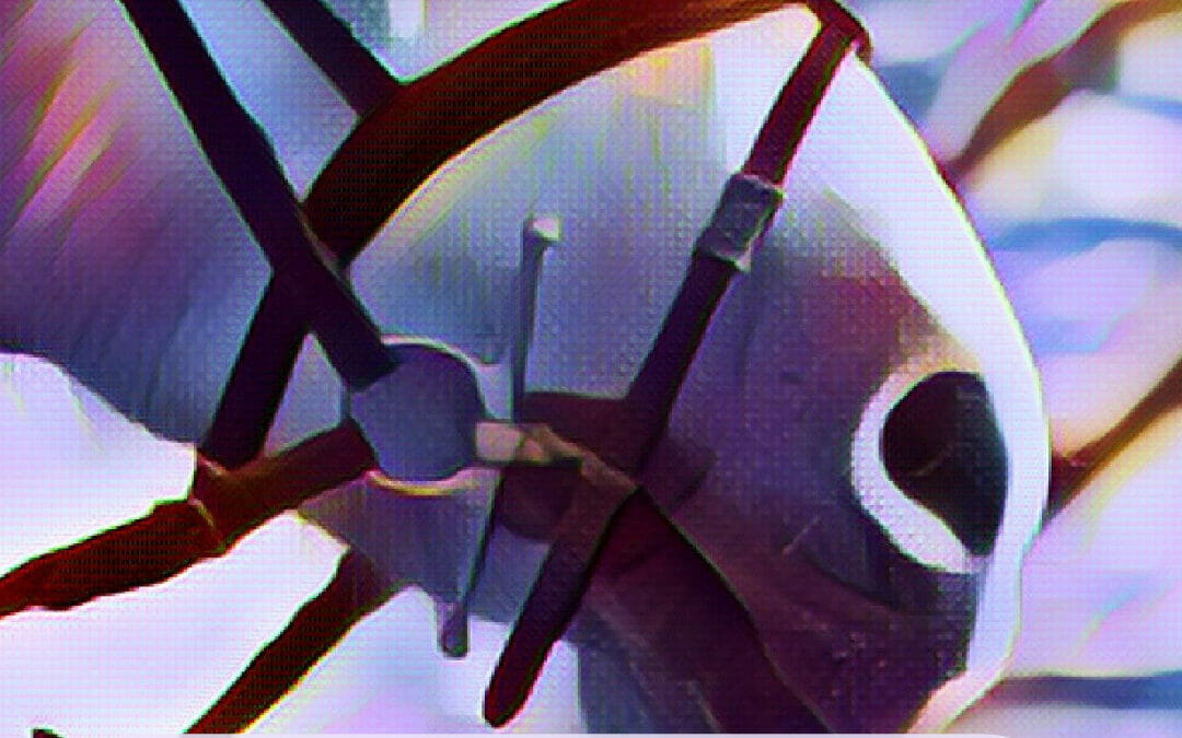 BHS Stage 1 – Bridles and Bitting