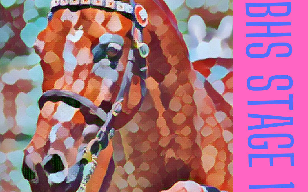 BHS Stage 1 – Handling and Leading