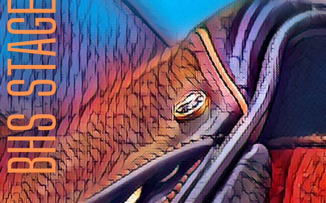 BHS Stage One – Care of Tack