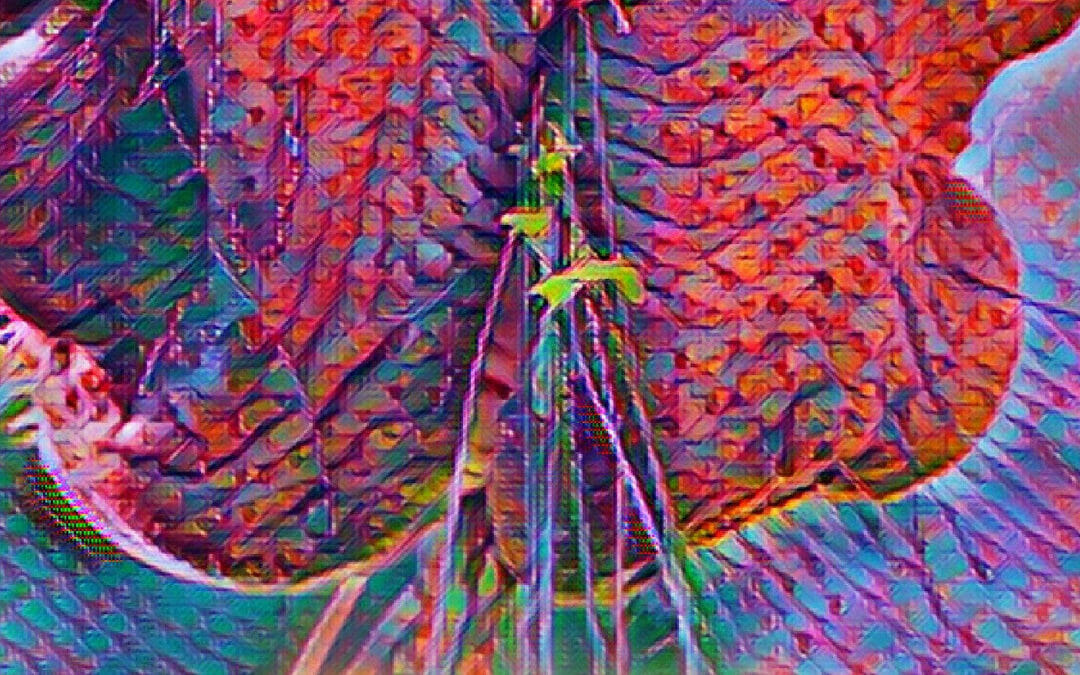 BHS Stage 1 Feeding and Watering (Quiz)