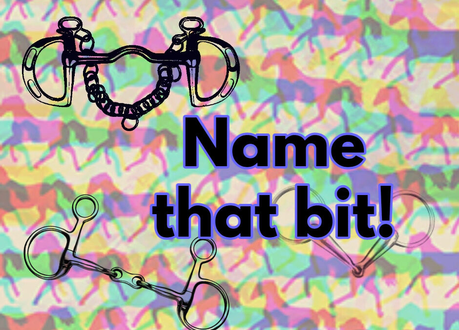 Name That Bit! (Quiz)